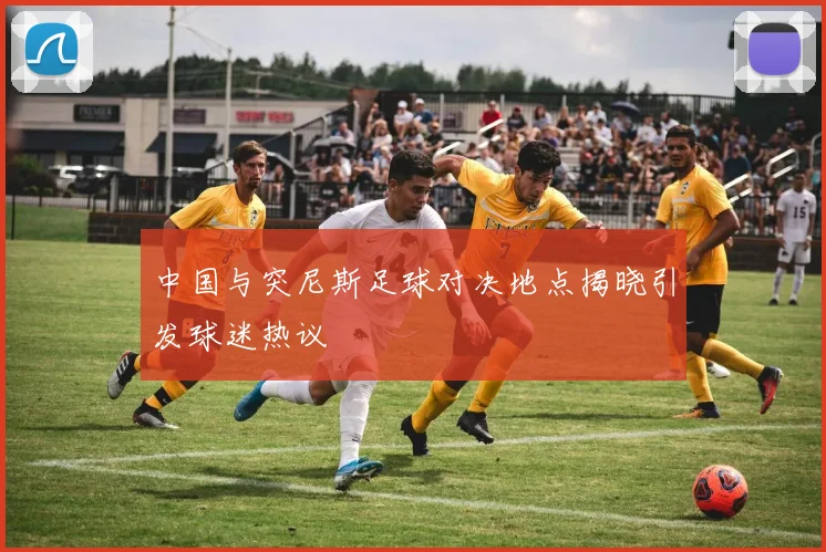中国与突尼斯足球对决地点揭晓引发球迷热议