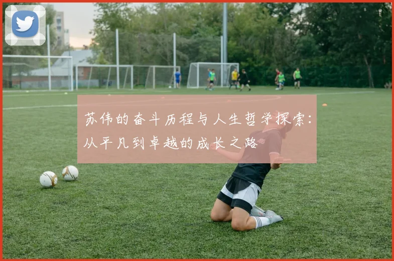 苏伟的奋斗历程与人生哲学探索：从平凡到卓越的成长之路