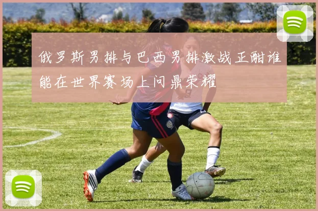 俄罗斯男排与巴西男排激战正酣谁能在世界赛场上问鼎荣耀