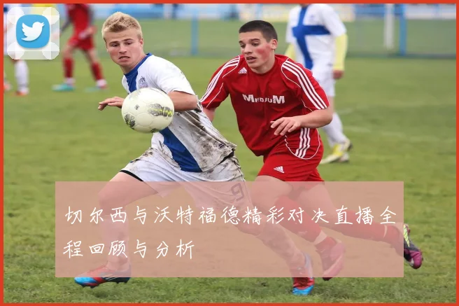 切尔西与沃特福德精彩对决直播全程回顾与分析